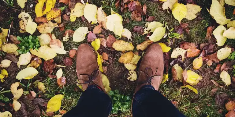 Top-down view of brown suede boots standing on grass amid fallen autumn leaves.
