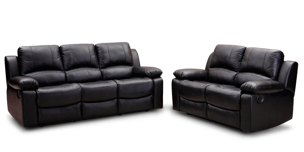 How Can I Protect My Leather Furniture from Dog Scratches, Chewing, and Stains?