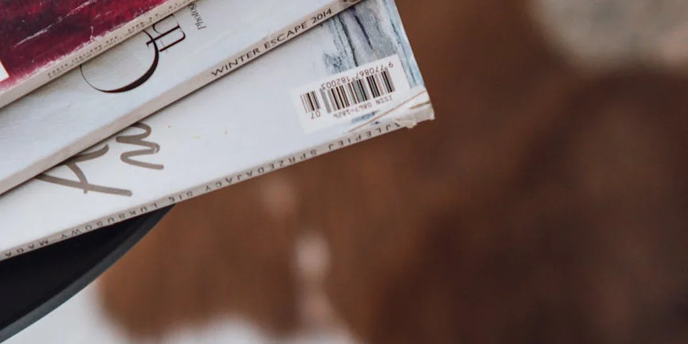 Close-up of a brown textured surface resembling a cowhide rug with a stack of magazines on top