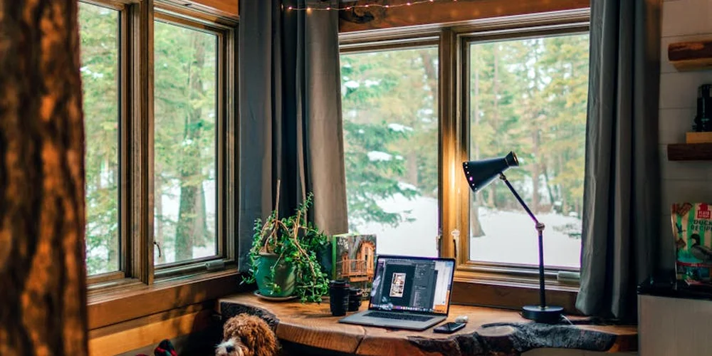 Bright wood-toned home workspace with a laptop on a desk by large windows; a potted plant and desk lamp create a cozy setting for discussing methods to dry suede and banish odors after a dog urine stain.