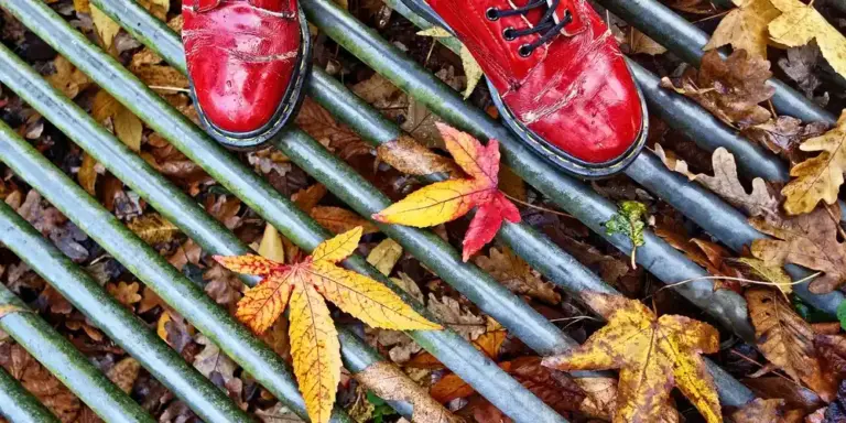 Close-up of red leather shoes resting on colorful fall leaves with metal rails in the background.