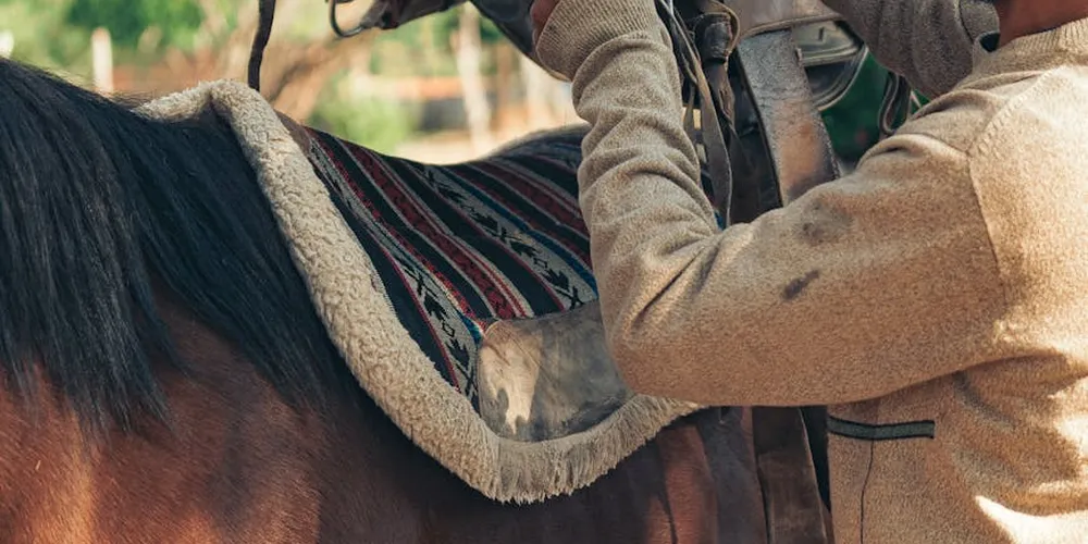 Close-up of a person handling a saddle on a horse, showcasing brown leather gear and a sheepskin saddle pad.