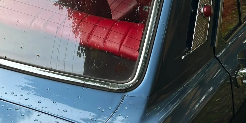 Red leather car seat visible inside a blue car, with a window reflecting trees.