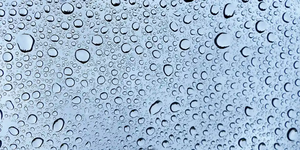What Are the Best Products and Methods for Cleaning Leather?