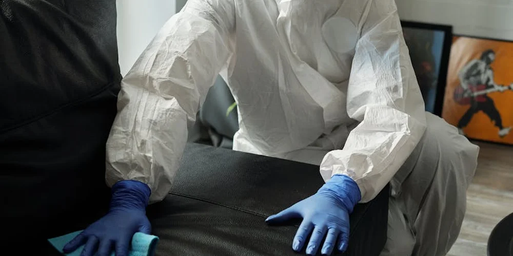 Two people in protective white suits and blue gloves clean a dark leather sofa in a living room.