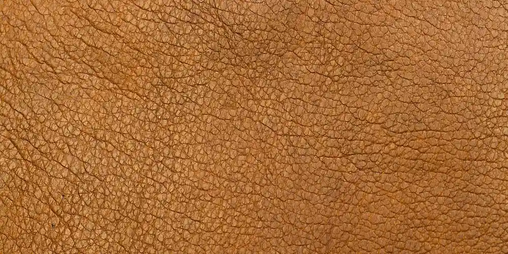 How Can You Repair and Restore Your Leather Sofa at Home?