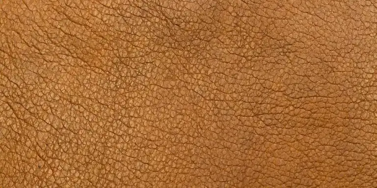 Close-up view of textured brown leather