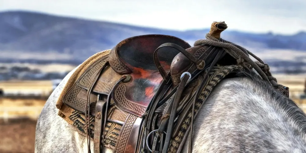 Leather saddle on a gray horse with a rugged landscape in the background.