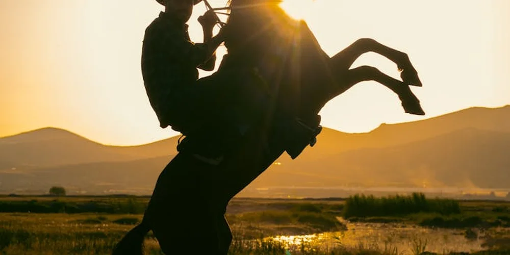 Silhouette of a rider on a horse at sunset