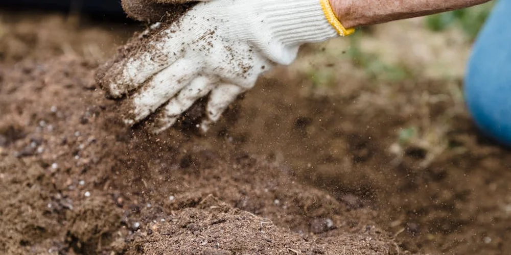 Close-up of gloved hands handling soil outdoors