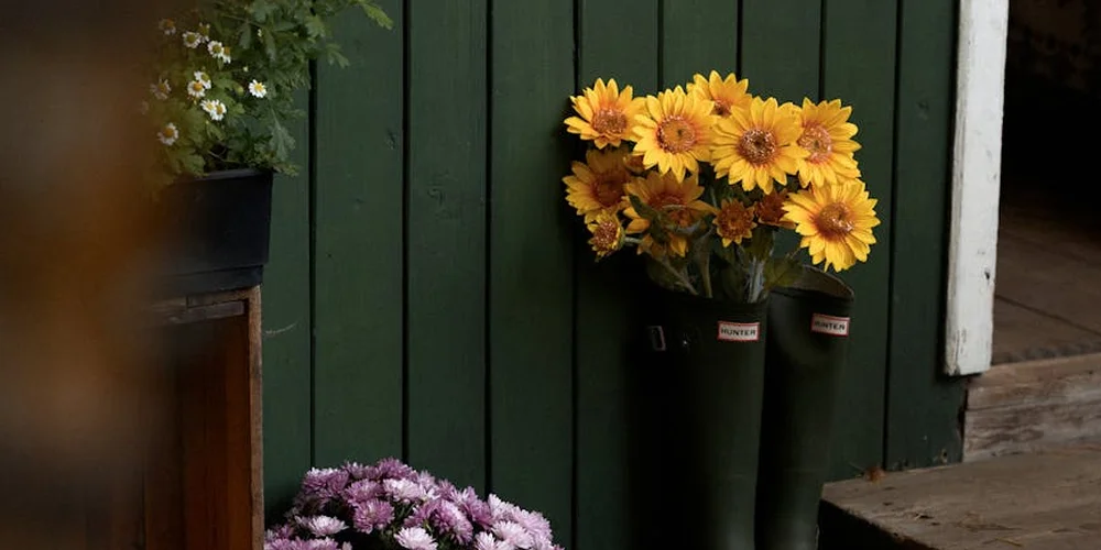 Potted sunflowers and purple flowers sit near a green wooden fence beside an open doorway.