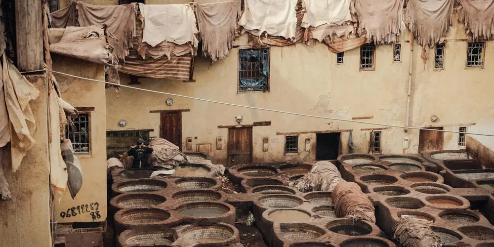 Leather hides laid out to dry in a tropical tannery, under awnings and racks in a humid environment.