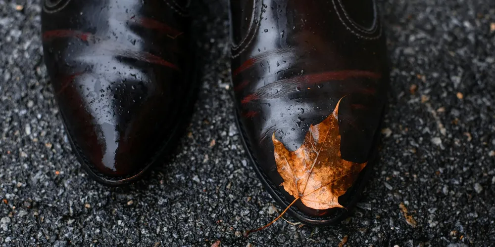 Close-up of glossy black leather dress shoes resting on a wet asphalt surface, with a brown autumn leaf perched on the toe.